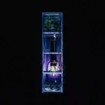 Soulwax – Run Free